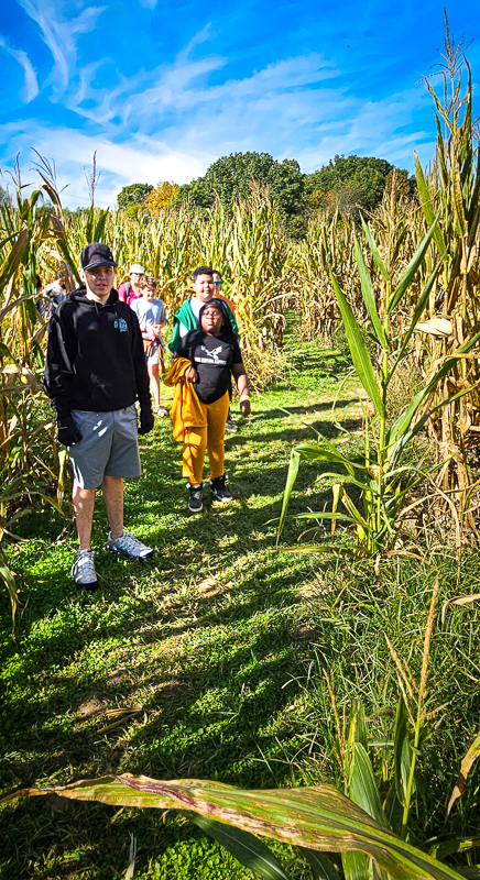 Edison students and a teacher walking a path through a corn maze on a fall trip